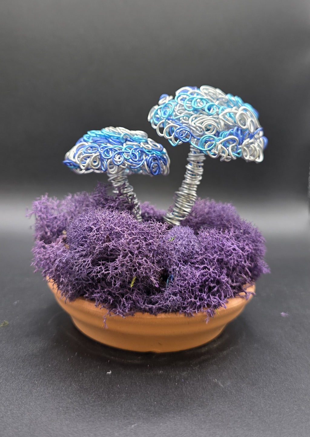 Wired Mushrooms