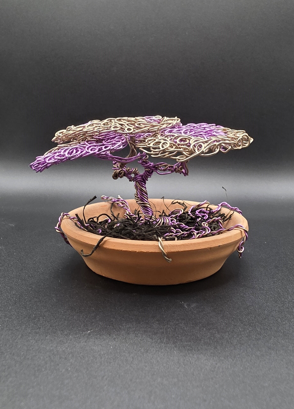 Purple Bonsai