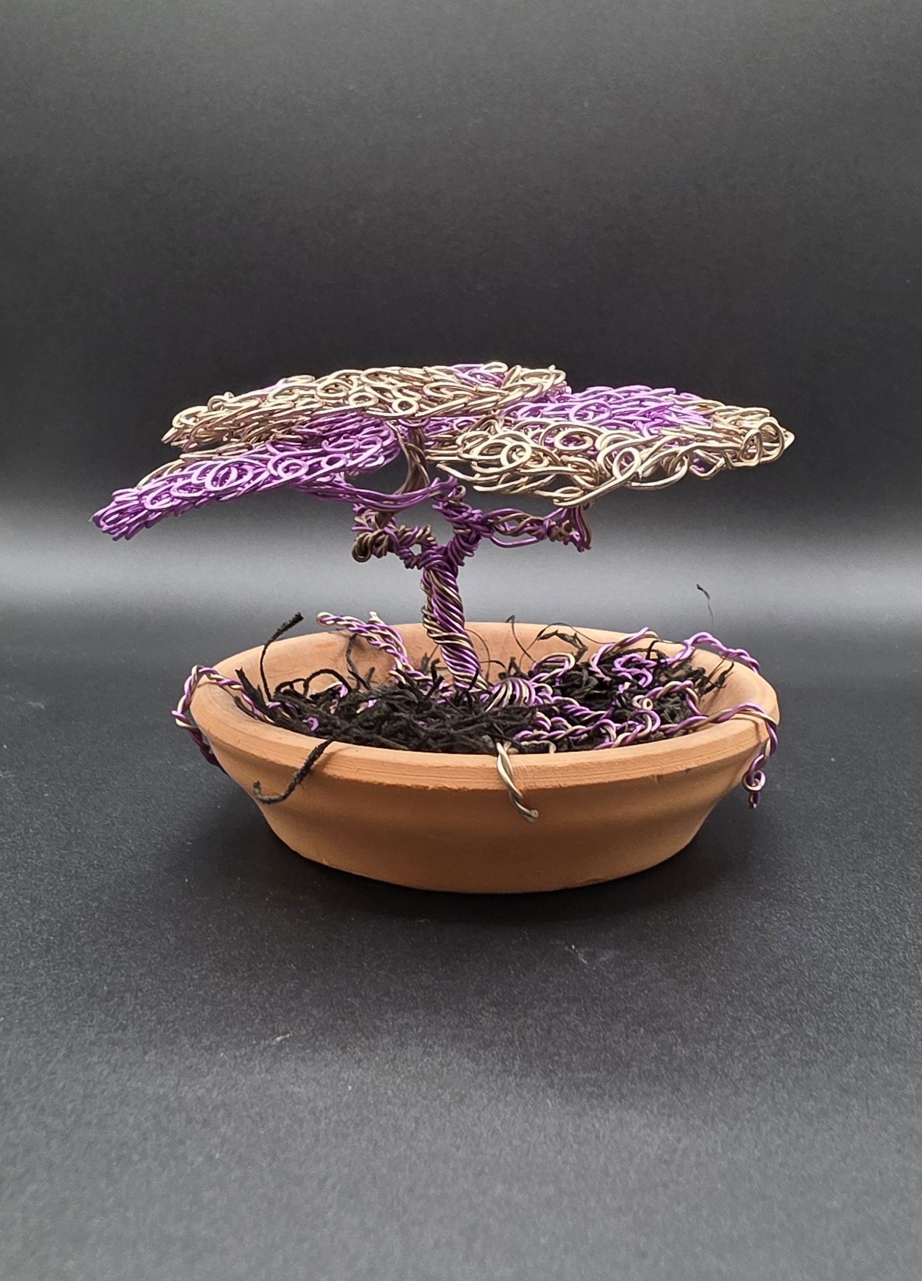 Purple Bonsai