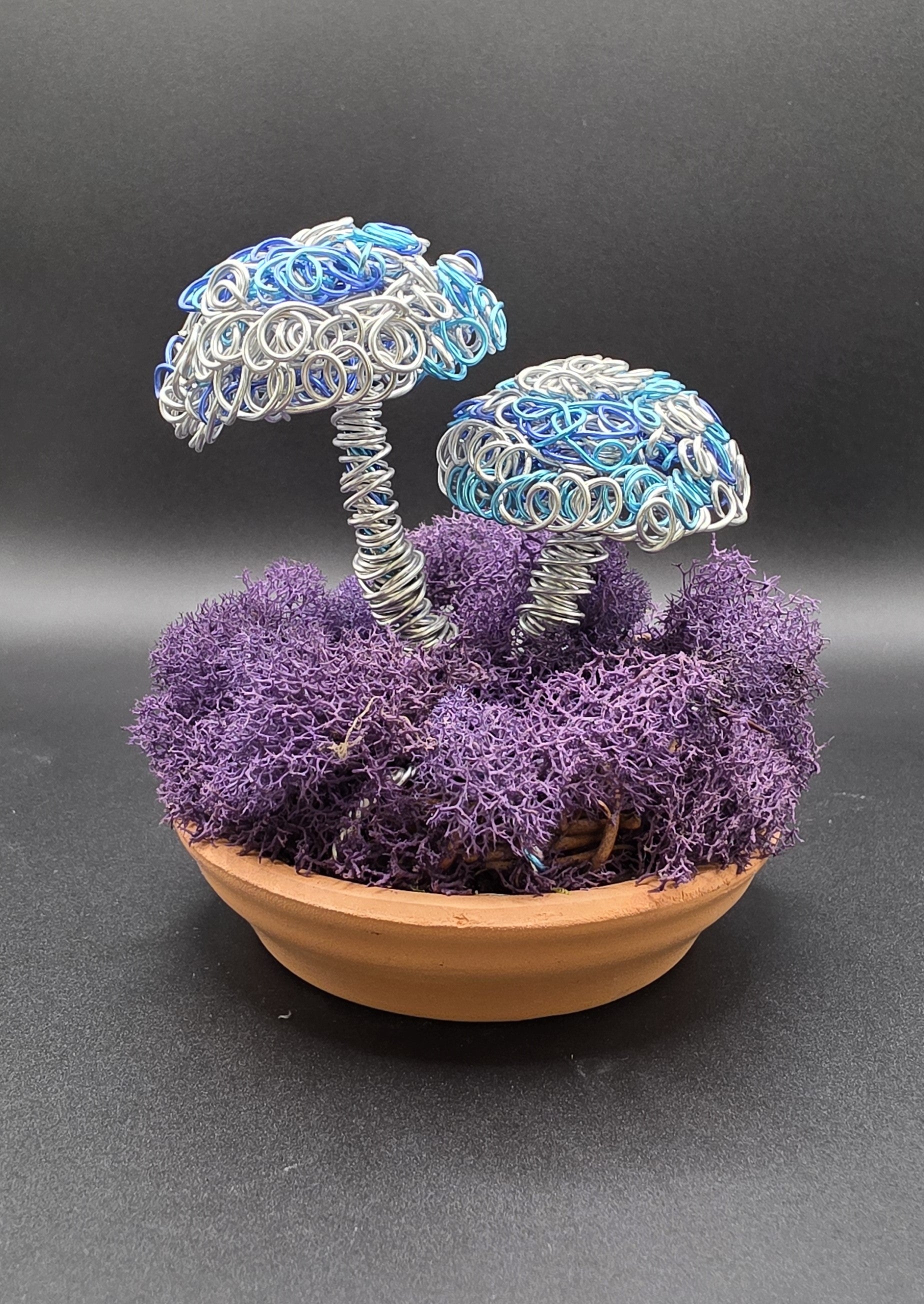 Wired Mushrooms