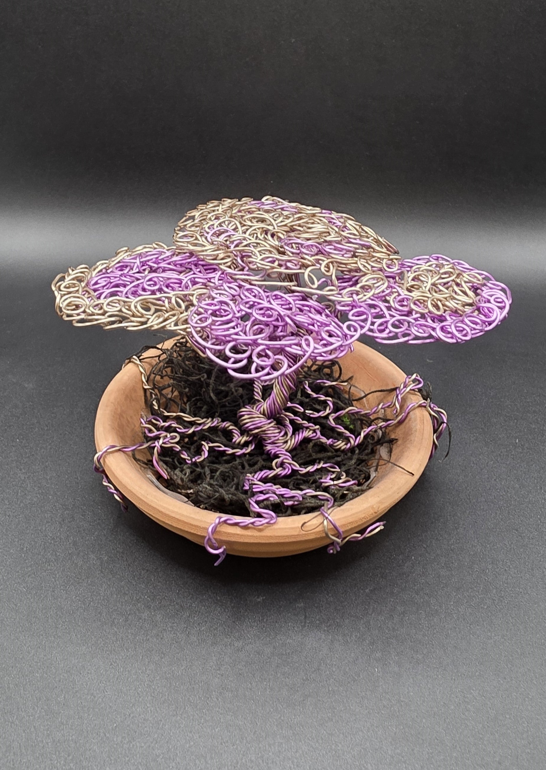 Purple Bonsai