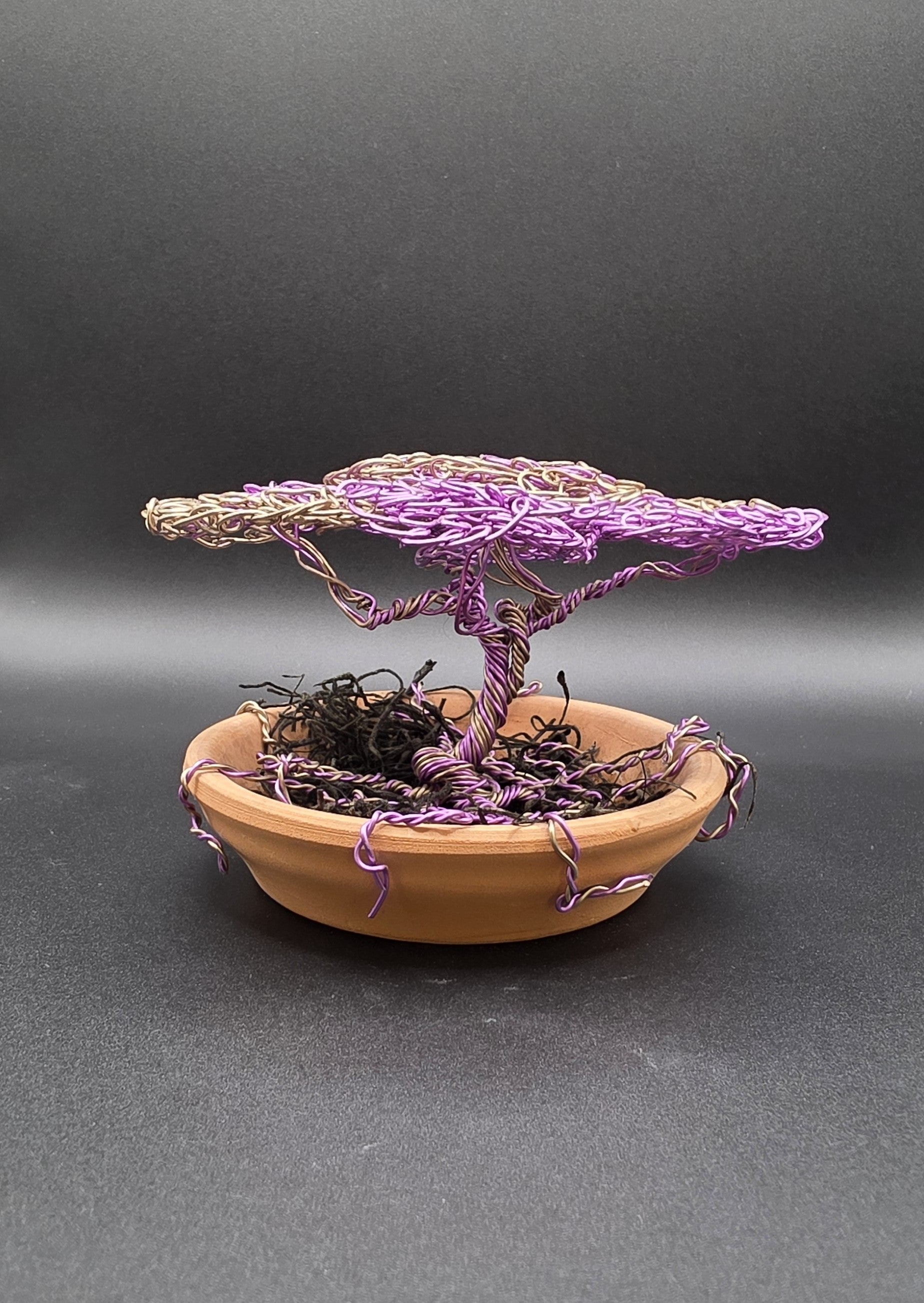 Purple Bonsai