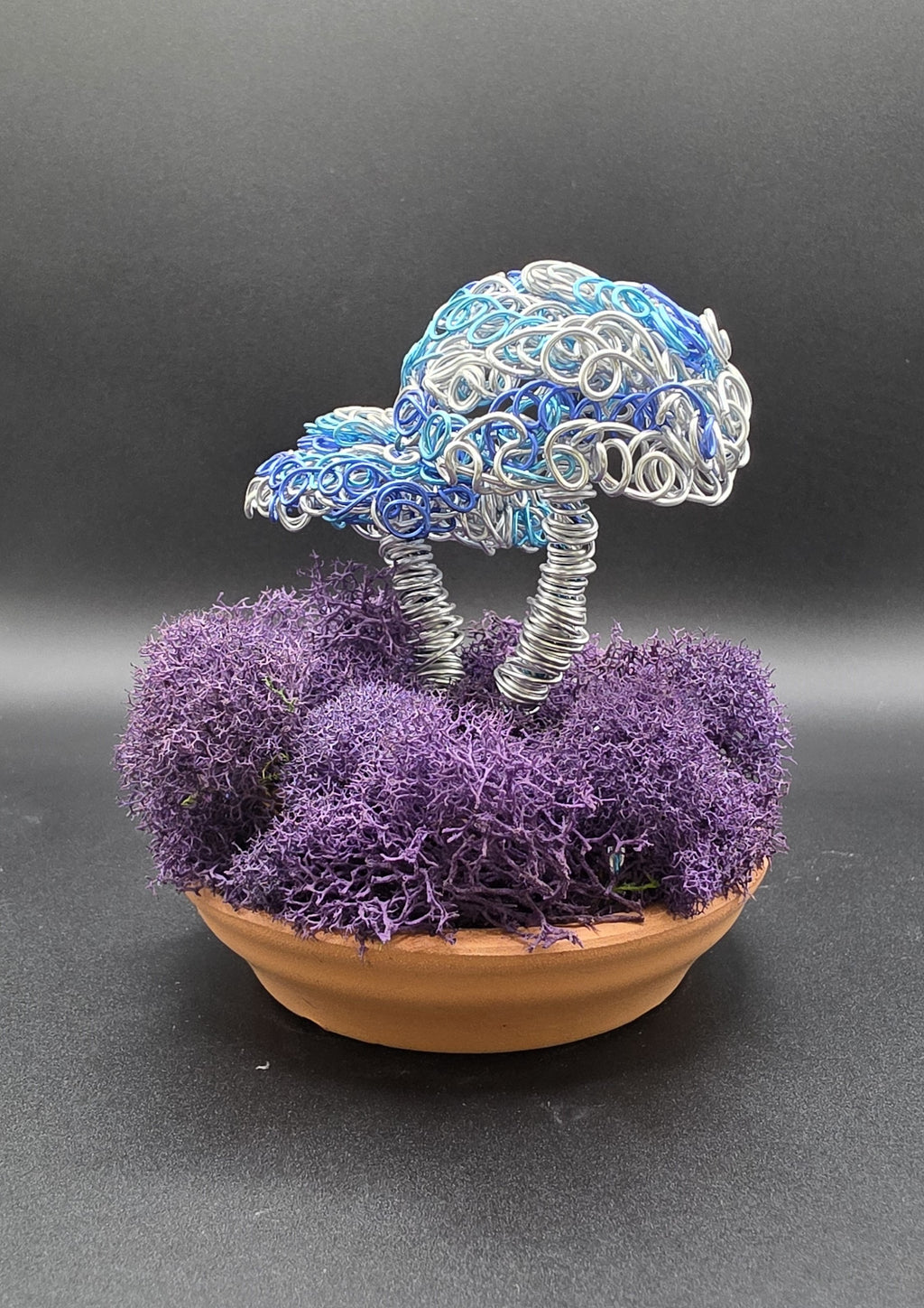 Wired Mushrooms